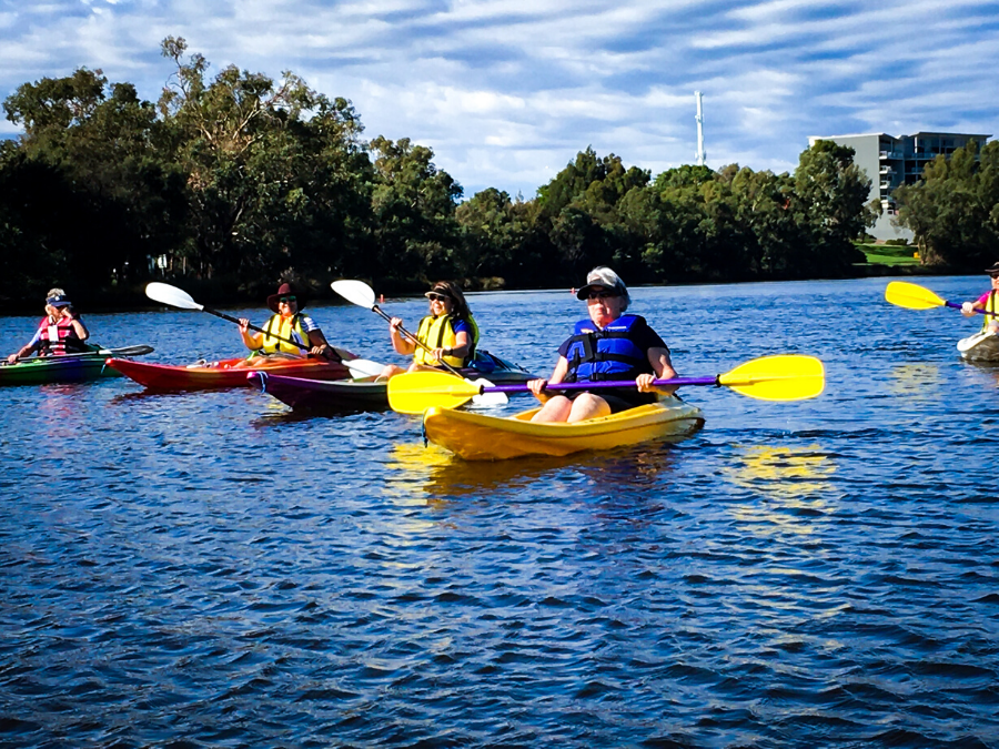 Wildlife & Eco Kayak Tours - Gift Vouchers Perth