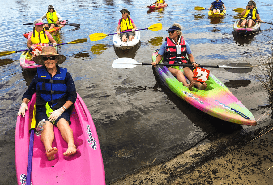 Wildlife and Eco Kayak Tours over 55s Tours 